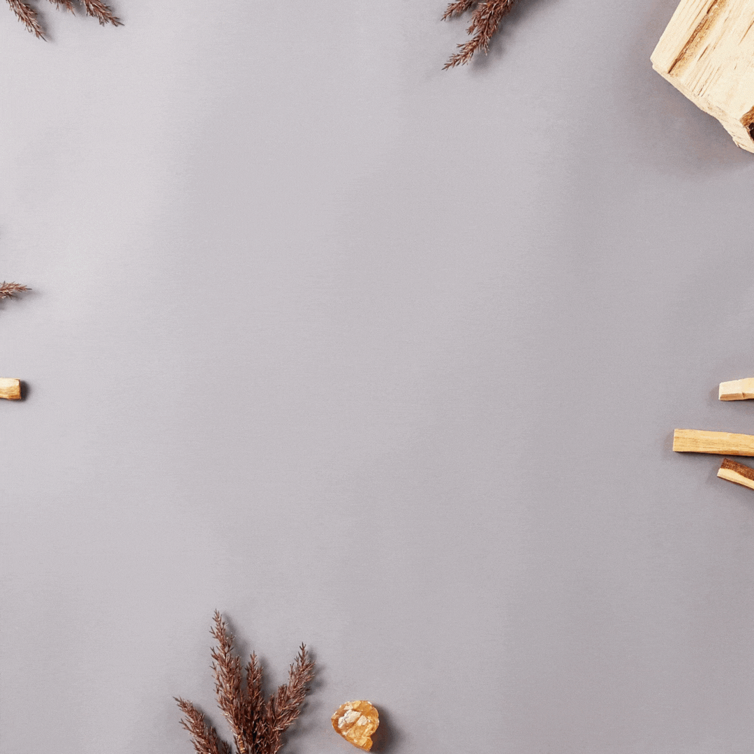 The Scent Discovery Edit