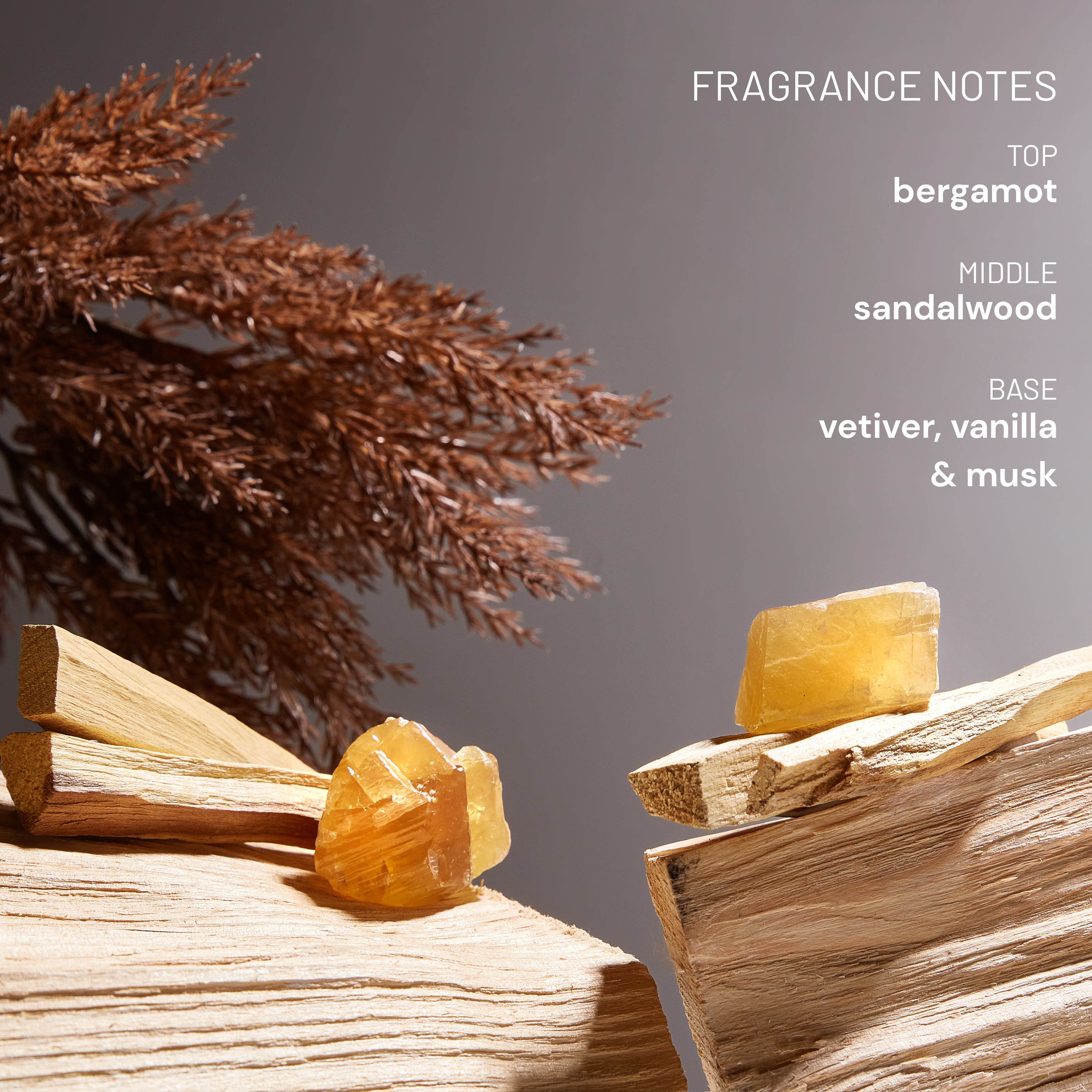 Sandalwood & Vetiver Hand & Body Lotion